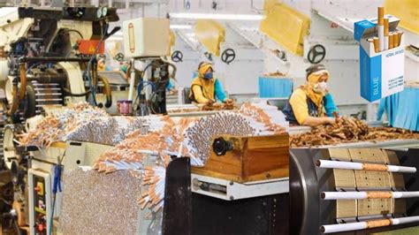 how are cigarettes made in a factory